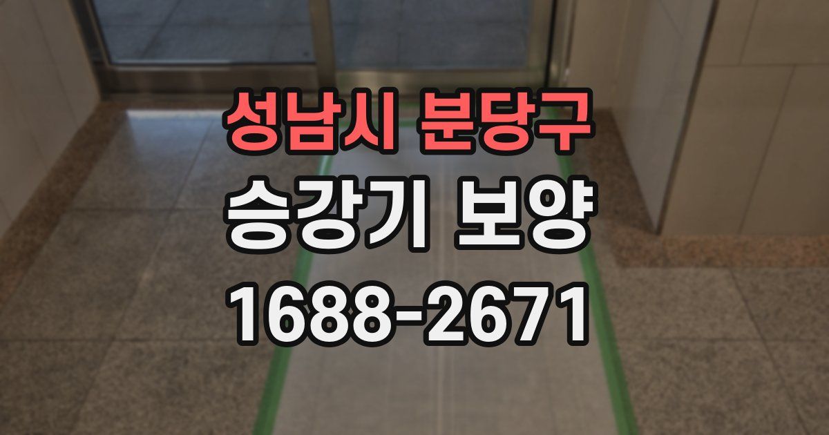 성남시 분당구 승강기 보양