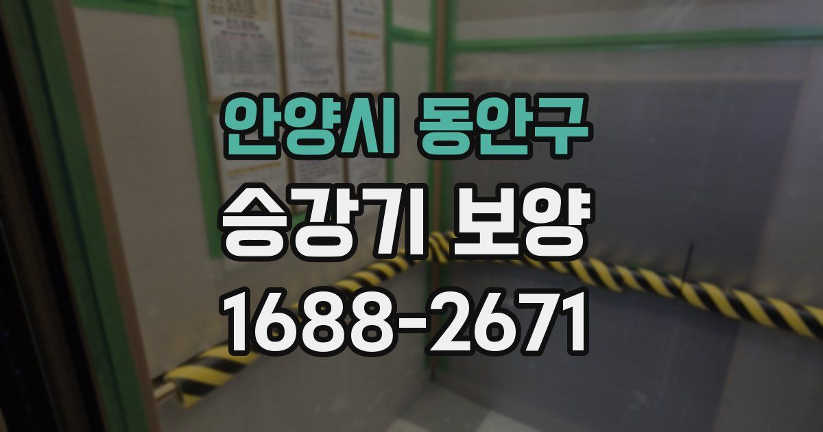 안양시 동안구 승강기 보양