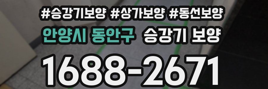 안양시 동안구 승강기 보양