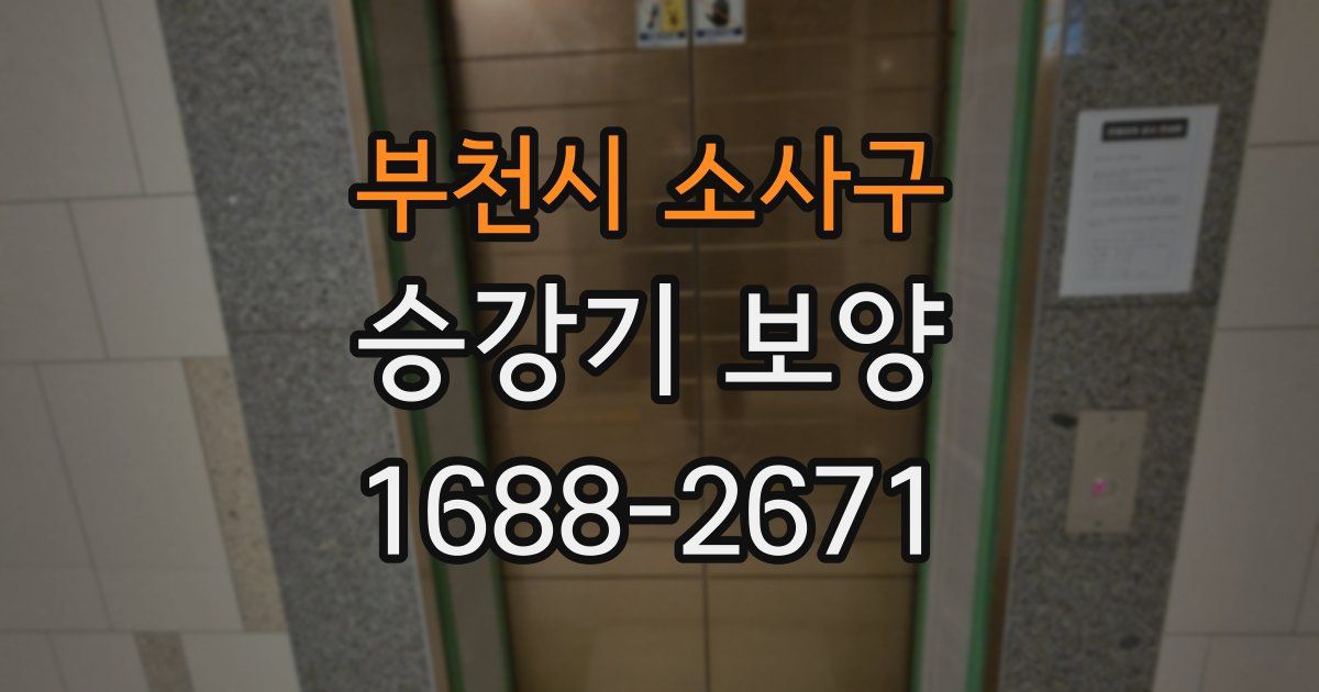 부천시 소사구 승강기 보양