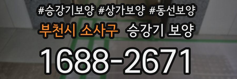 부천시 소사구 승강기 보양
