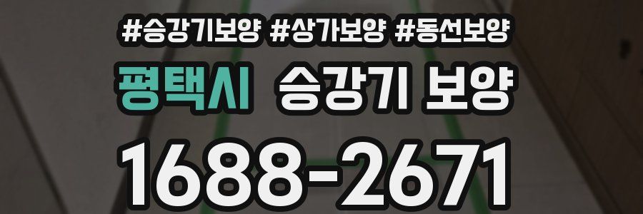 평택시 승강기 보양