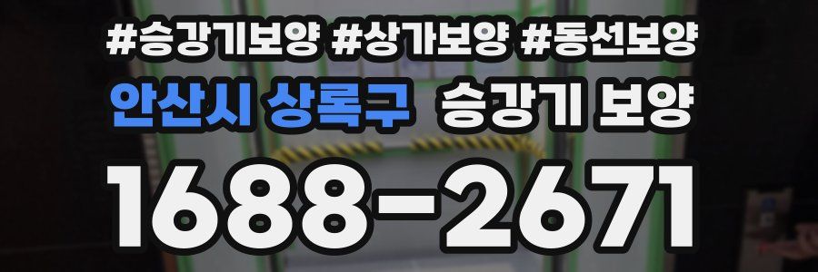 안산시 상록구 승강기 보양