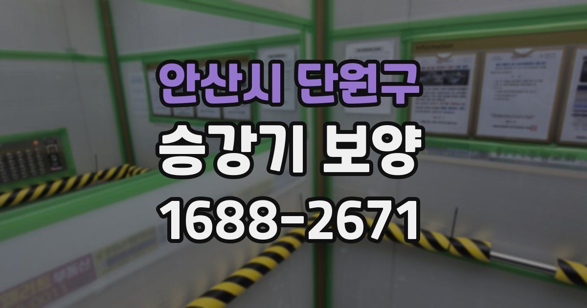 안산시 단원구 승강기 보양