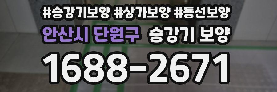 안산시 단원구 승강기 보양