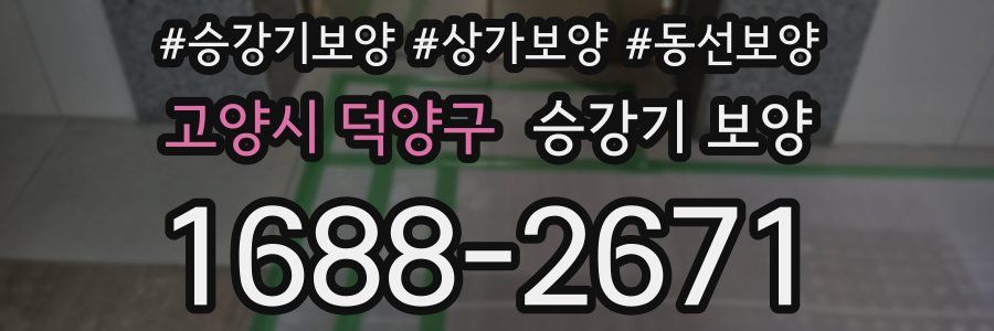 고양시 덕양구 승강기 보양