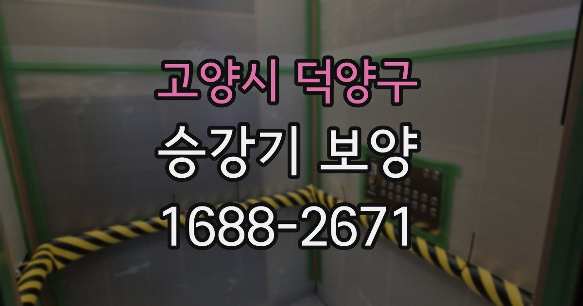 고양시 덕양구 승강기 보양