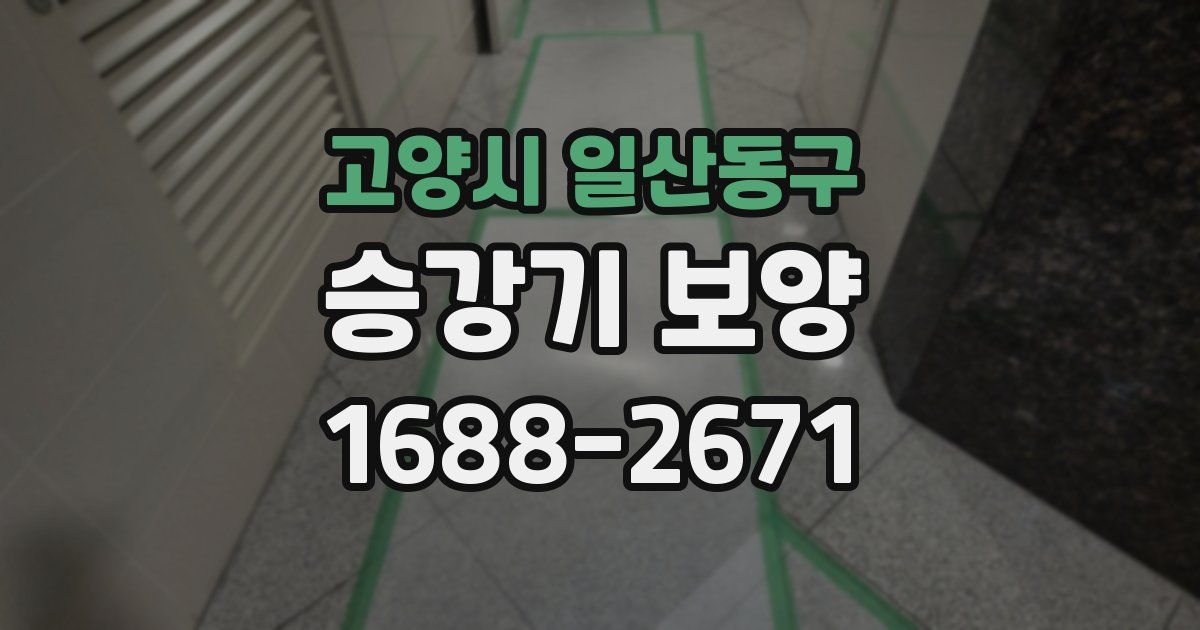 고양시 일산동구 승강기 보양