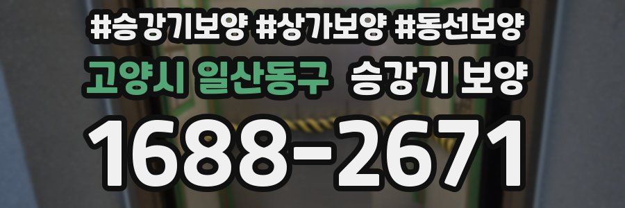 고양시 일산동구 승강기 보양