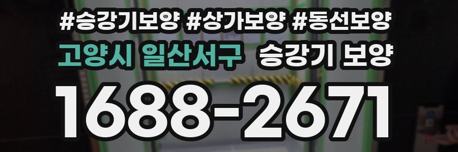 고양시 일산서구 승강기 보양