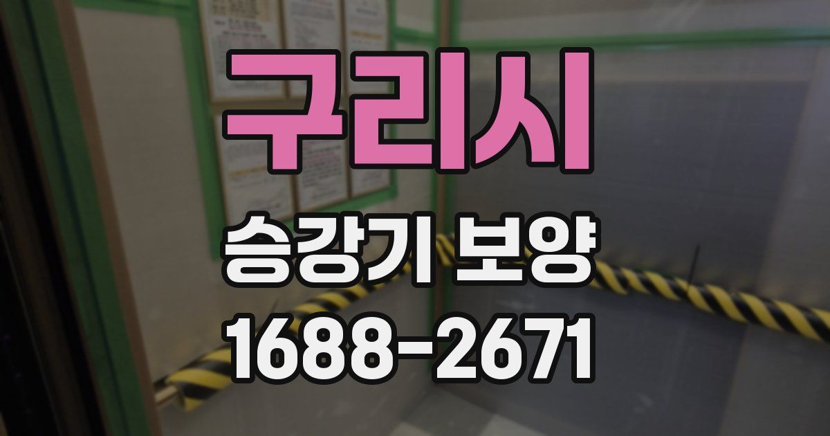 구리시 승강기 보양