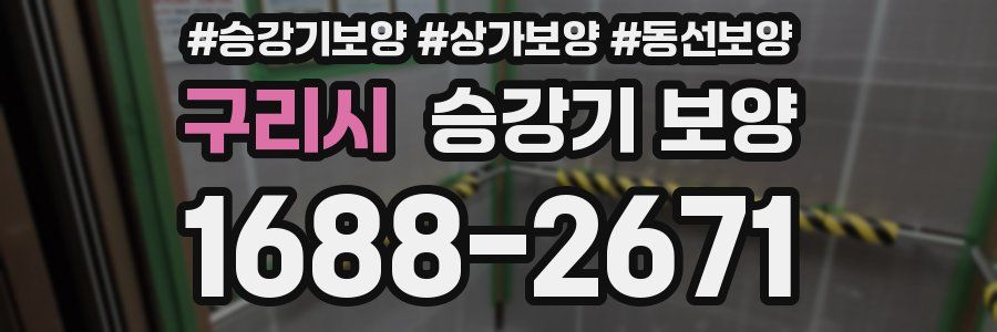 구리시 승강기 보양