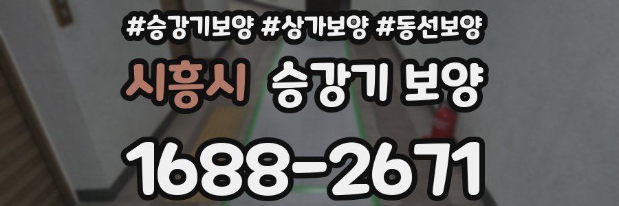 시흥시 승강기 보양