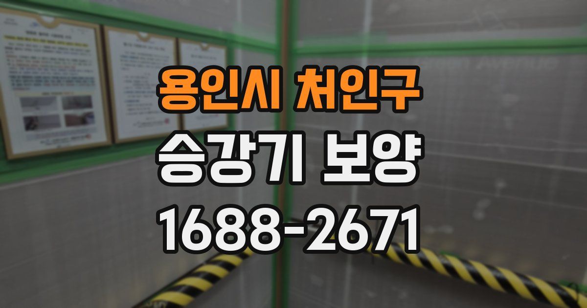 용인시 처인구 승강기 보양