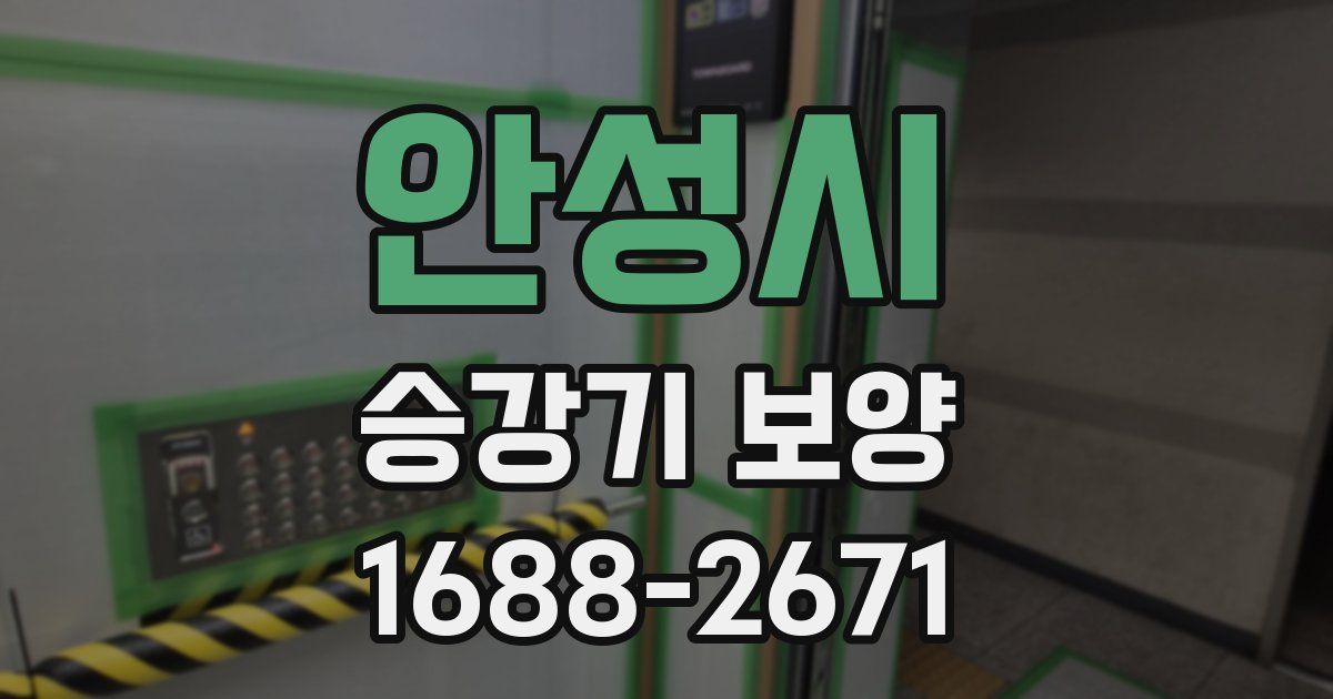 안성시 승강기 보양