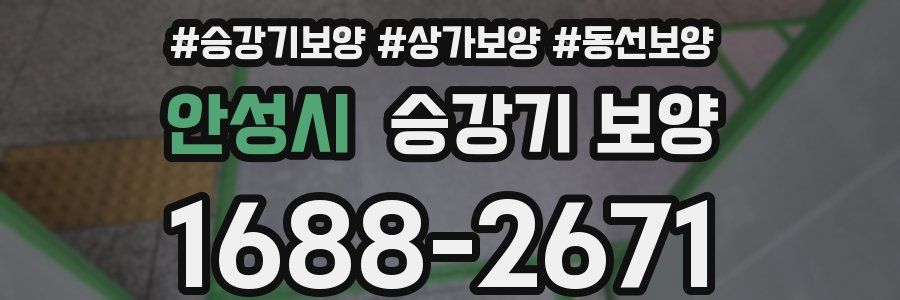 안성시 승강기 보양