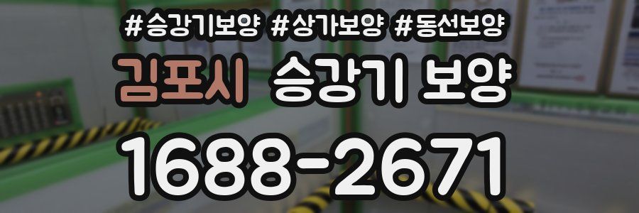 김포시 승강기 보양