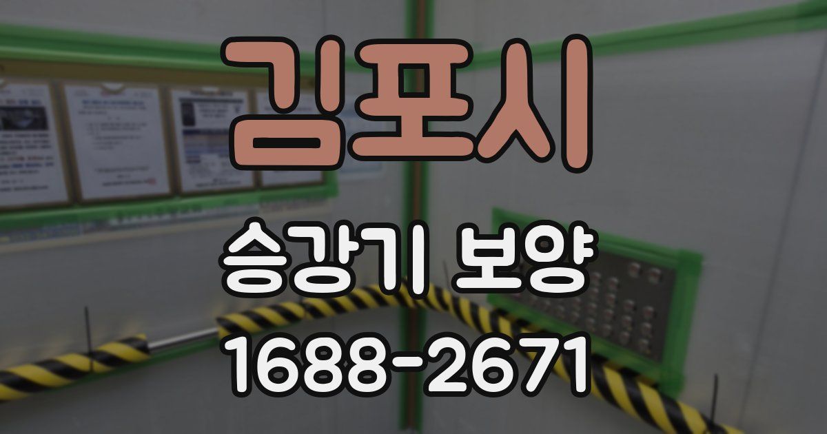 김포시 승강기 보양