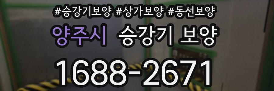양주시 승강기 보양