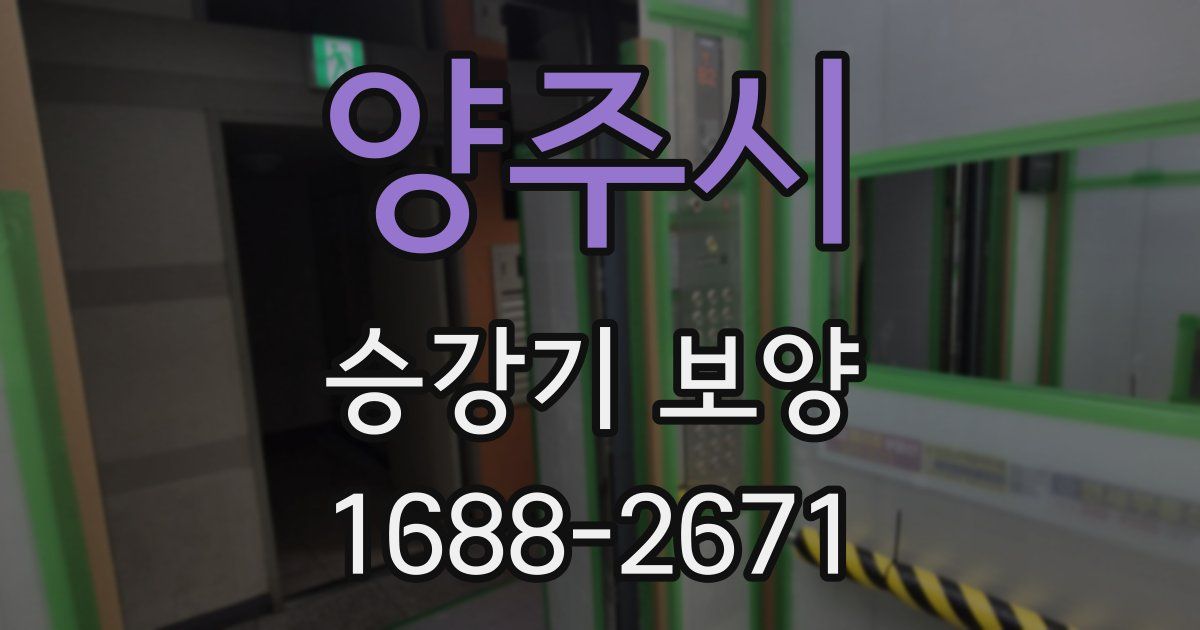 양주시 승강기 보양