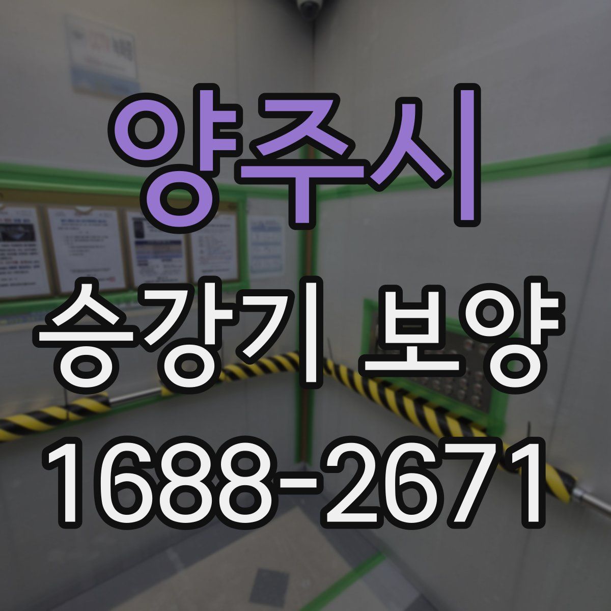 양주시 승강기 보양