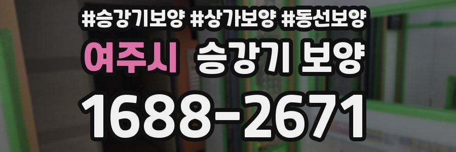 여주시 승강기 보양