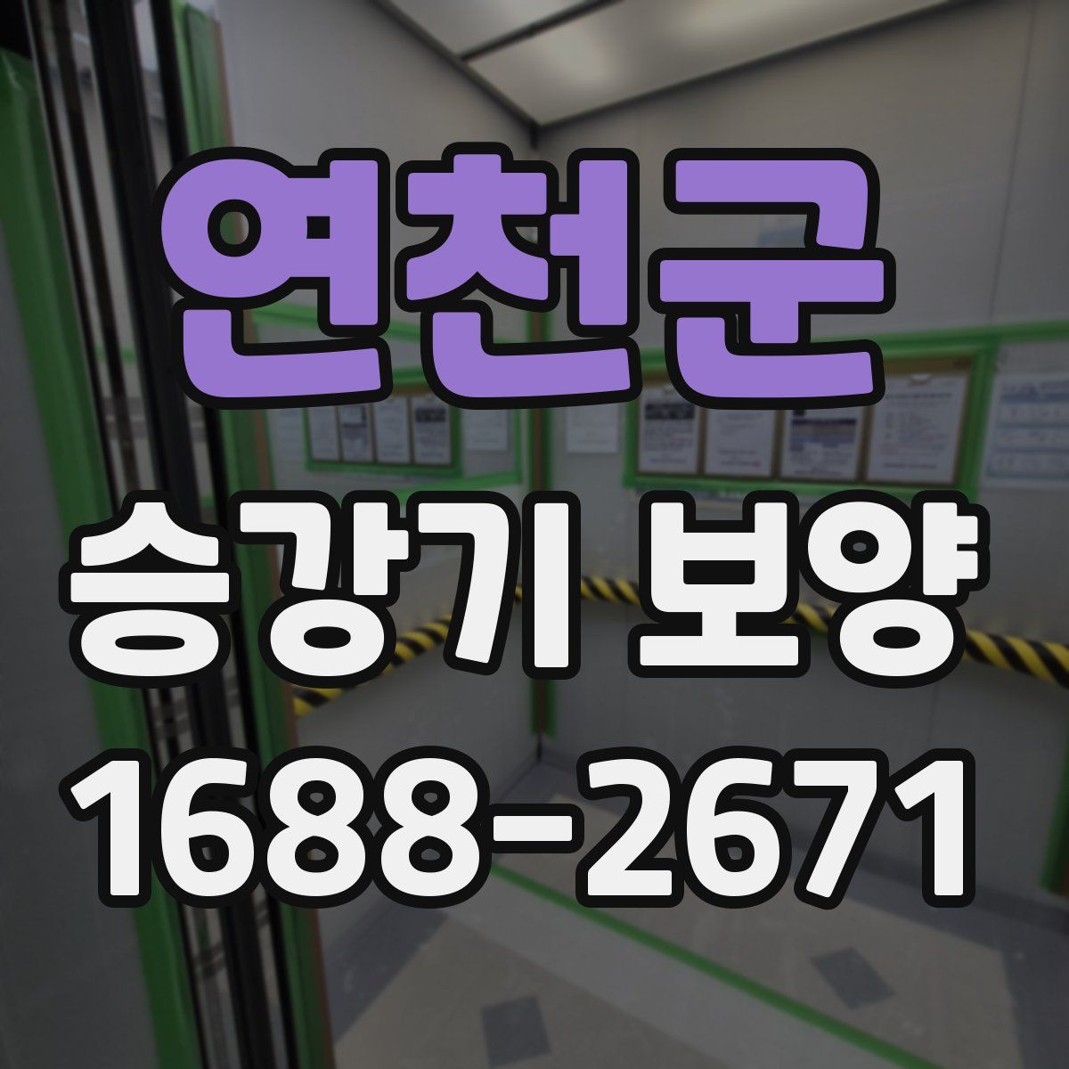 연천군 승강기 보양