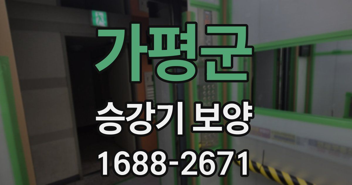 가평군 승강기 보양