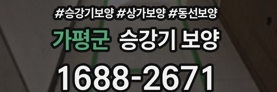가평군 승강기 보양