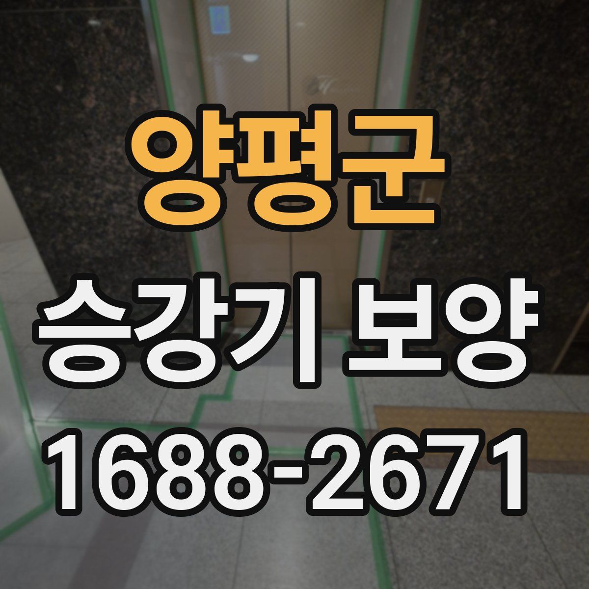 양평군 승강기 보양