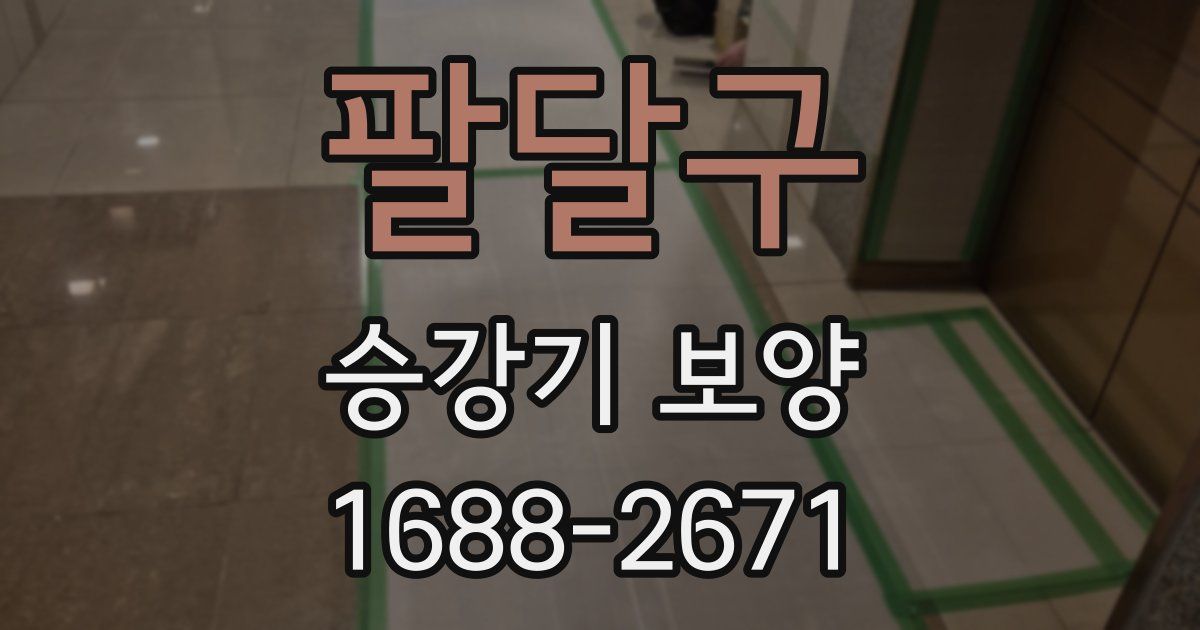 팔달구 승강기 보양