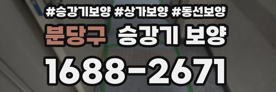 분당구 승강기 보양