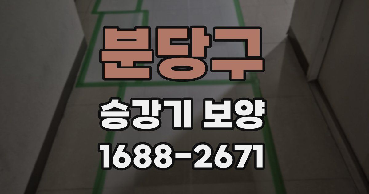 분당구 승강기 보양