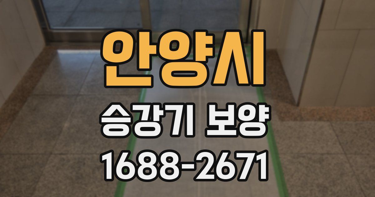 안양시 승강기 보양