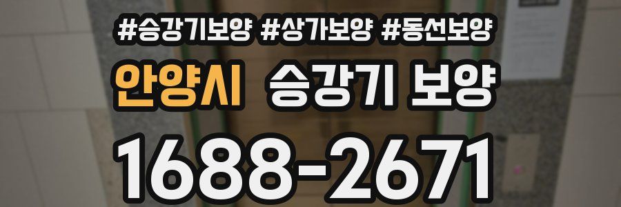 안양시 승강기 보양
