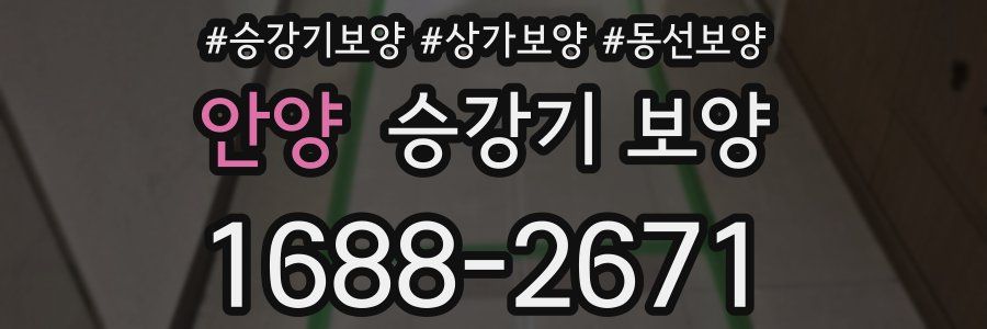 안양 승강기 보양