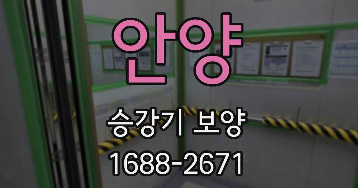 안양 승강기 보양