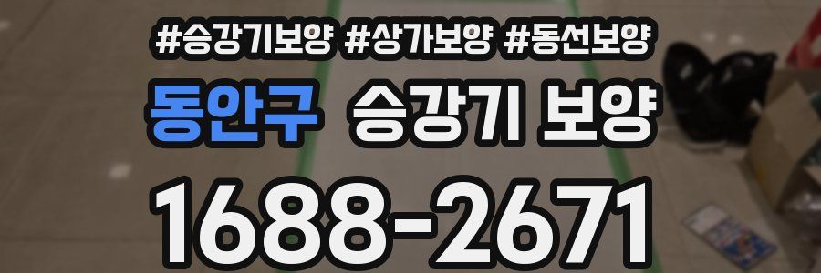 동안구 승강기 보양