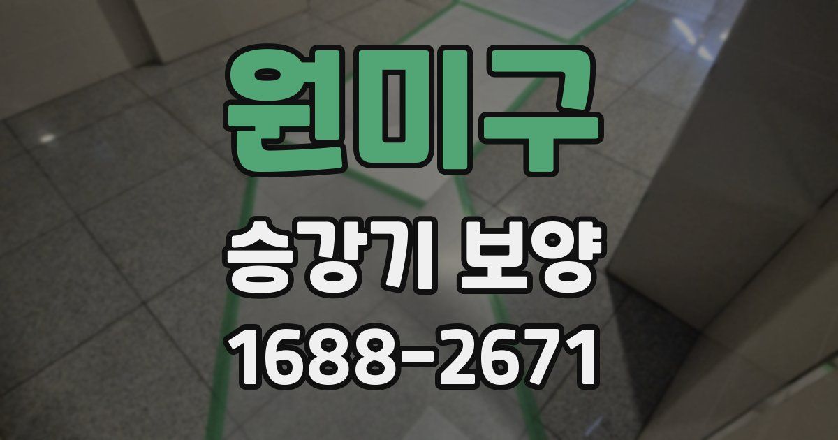 원미구 승강기 보양