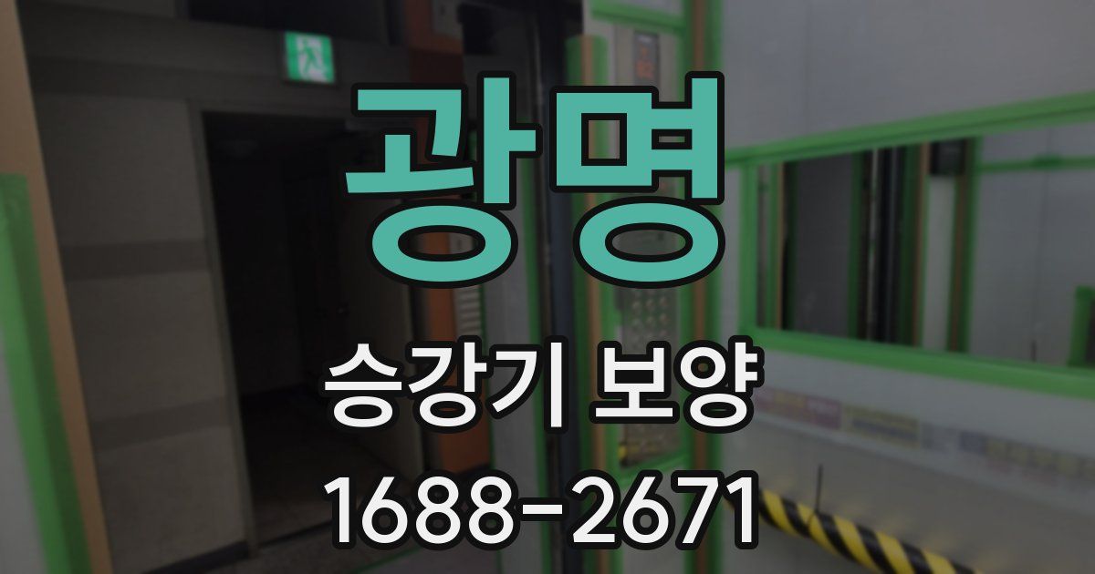 광명 승강기 보양