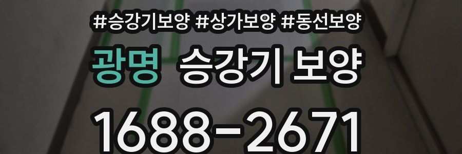 광명 승강기 보양