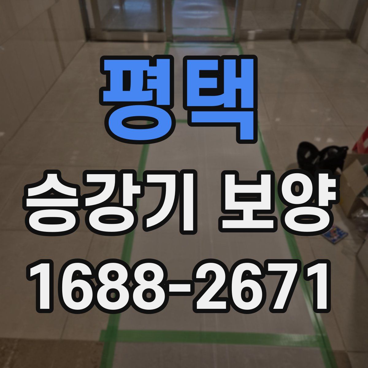 평택 승강기 보양