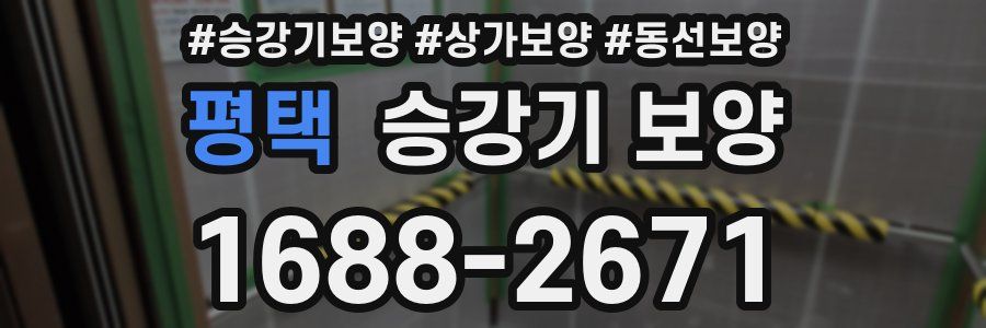 평택 승강기 보양