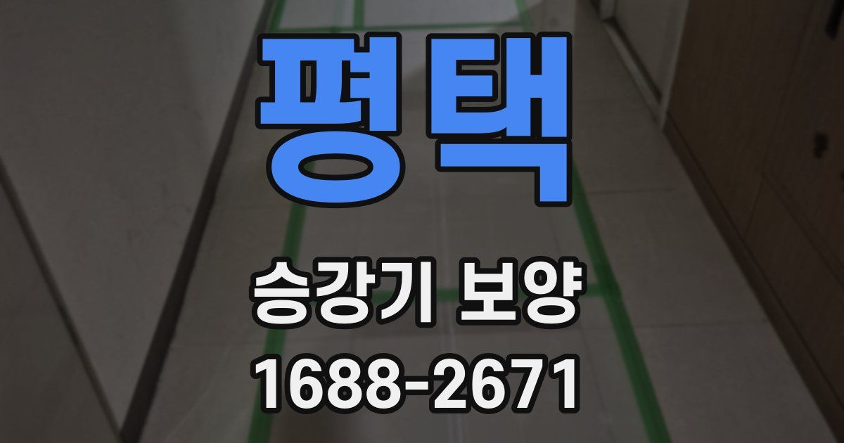 평택 승강기 보양