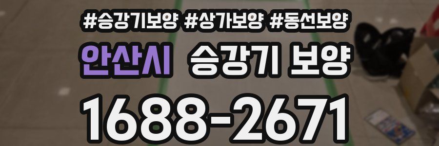 안산시 승강기 보양
