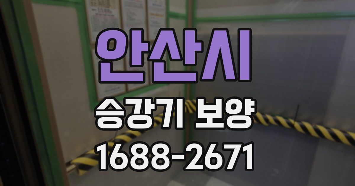 안산시 승강기 보양