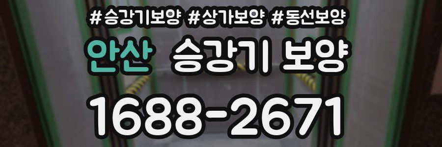 안산 승강기 보양