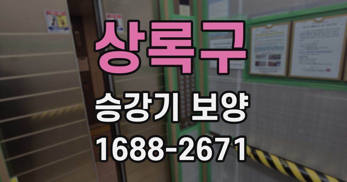 상록구 승강기 보양