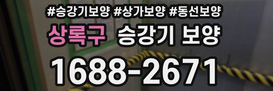 상록구 승강기 보양