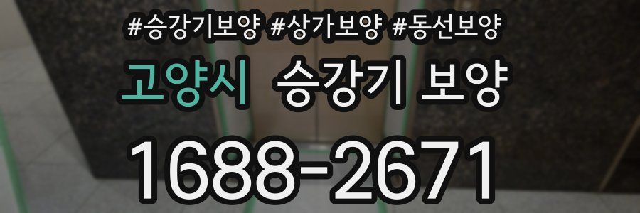 고양시 승강기 보양